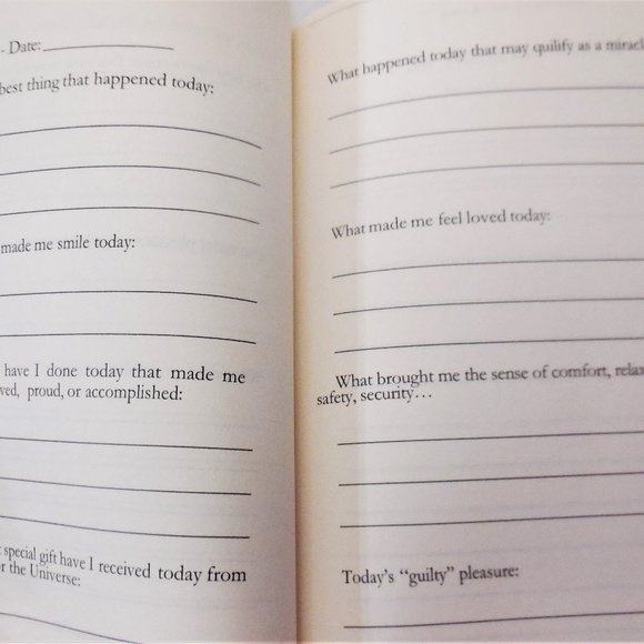 Daily Gratitude Journal 1-Month Workbook Paperback gift - Picture 5 of 6